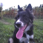 Clique pour agrandir ...